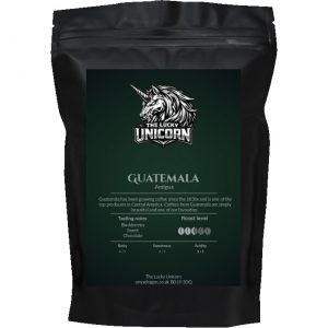 Guatemala Antigua