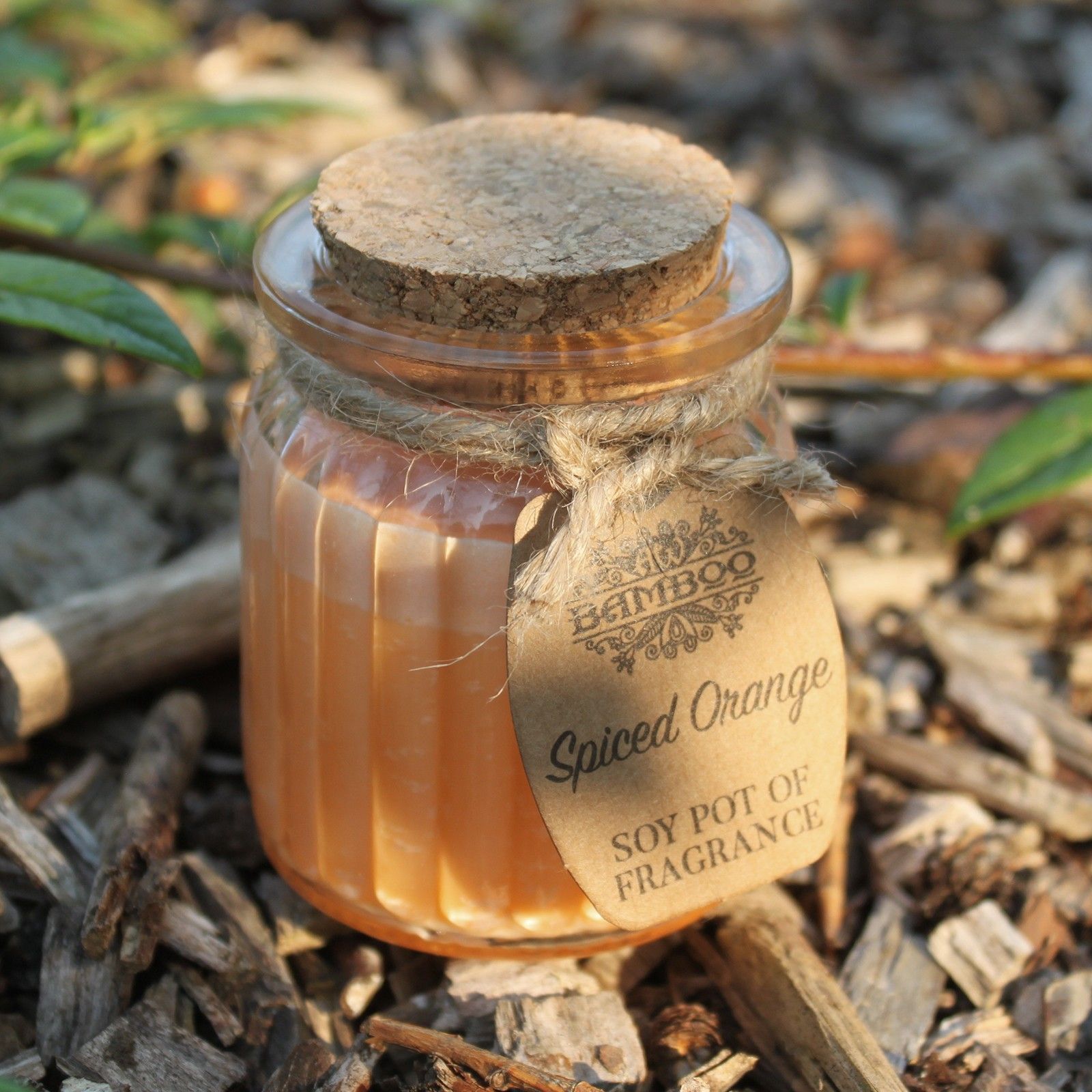 Spiced Orange Soy Pot of Fragrance Candles - Image 3