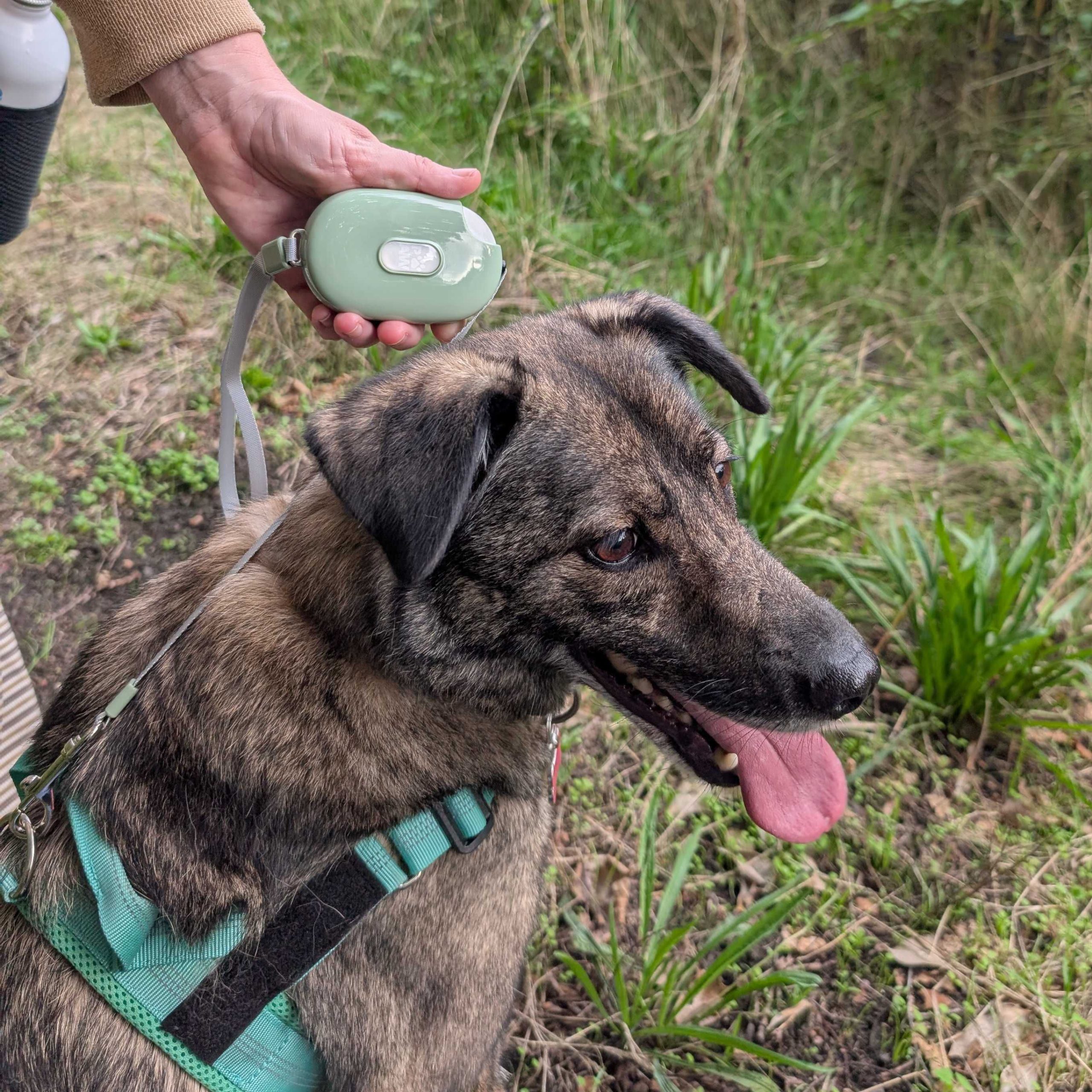 Paw Pet Leash - Pocket Pod - Green - 1.5m - Image 4