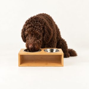 Pet Bowls & Raised Feeders