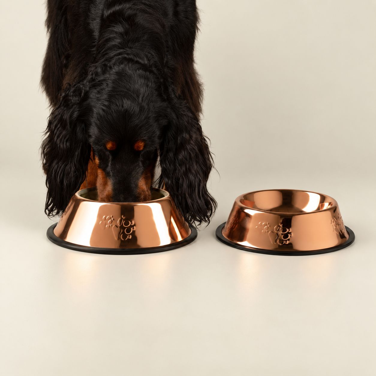 PAW Food Bowls - Single Copper Style - 18cm - Stainless Steel (304) - Image 2