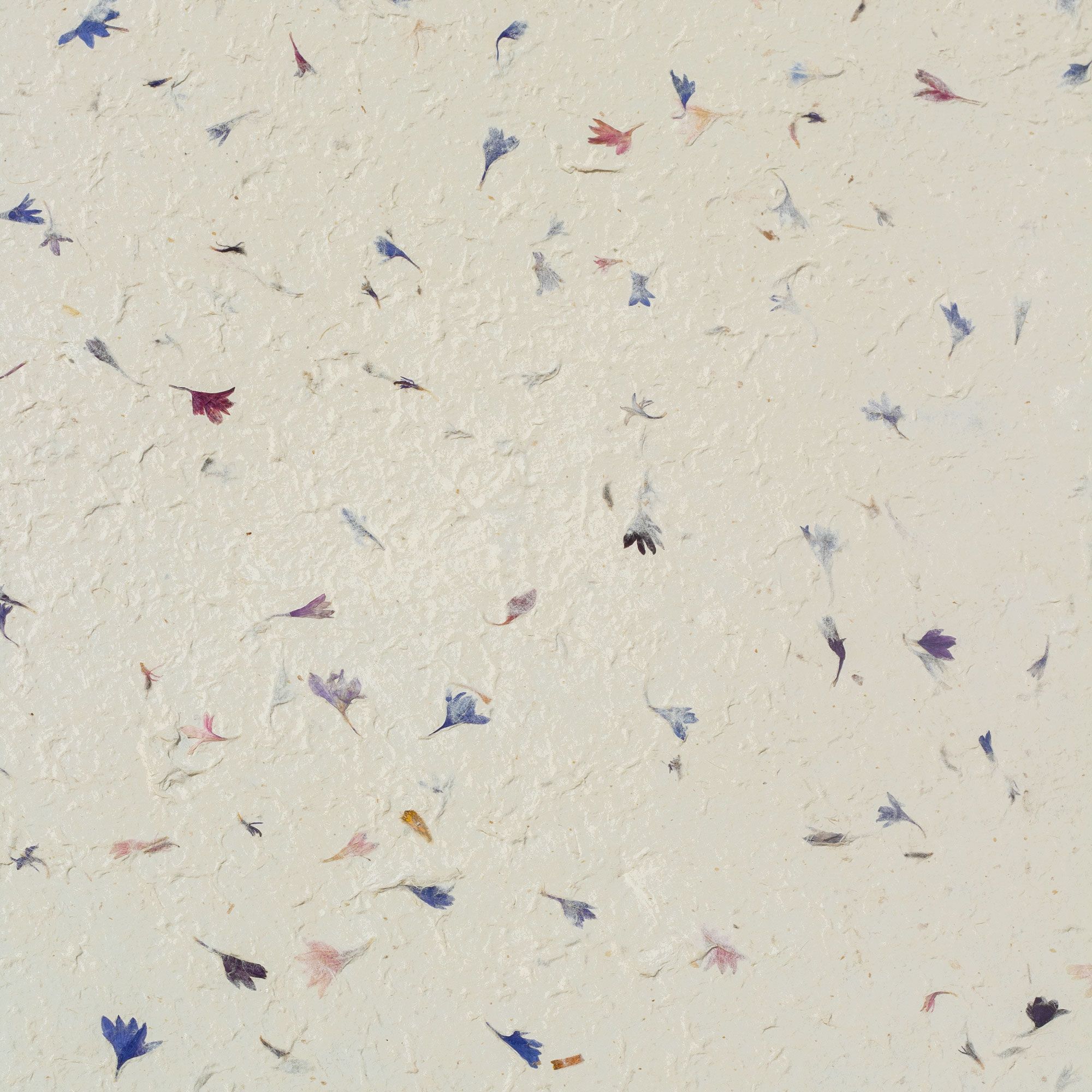 Lokta Craft & Wrapping Paper 51x76cm – Cornflower Petal - Image 6