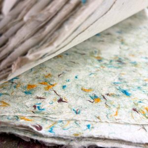 Lokta Craft & Wrapping Paper 51x76cm – Grass