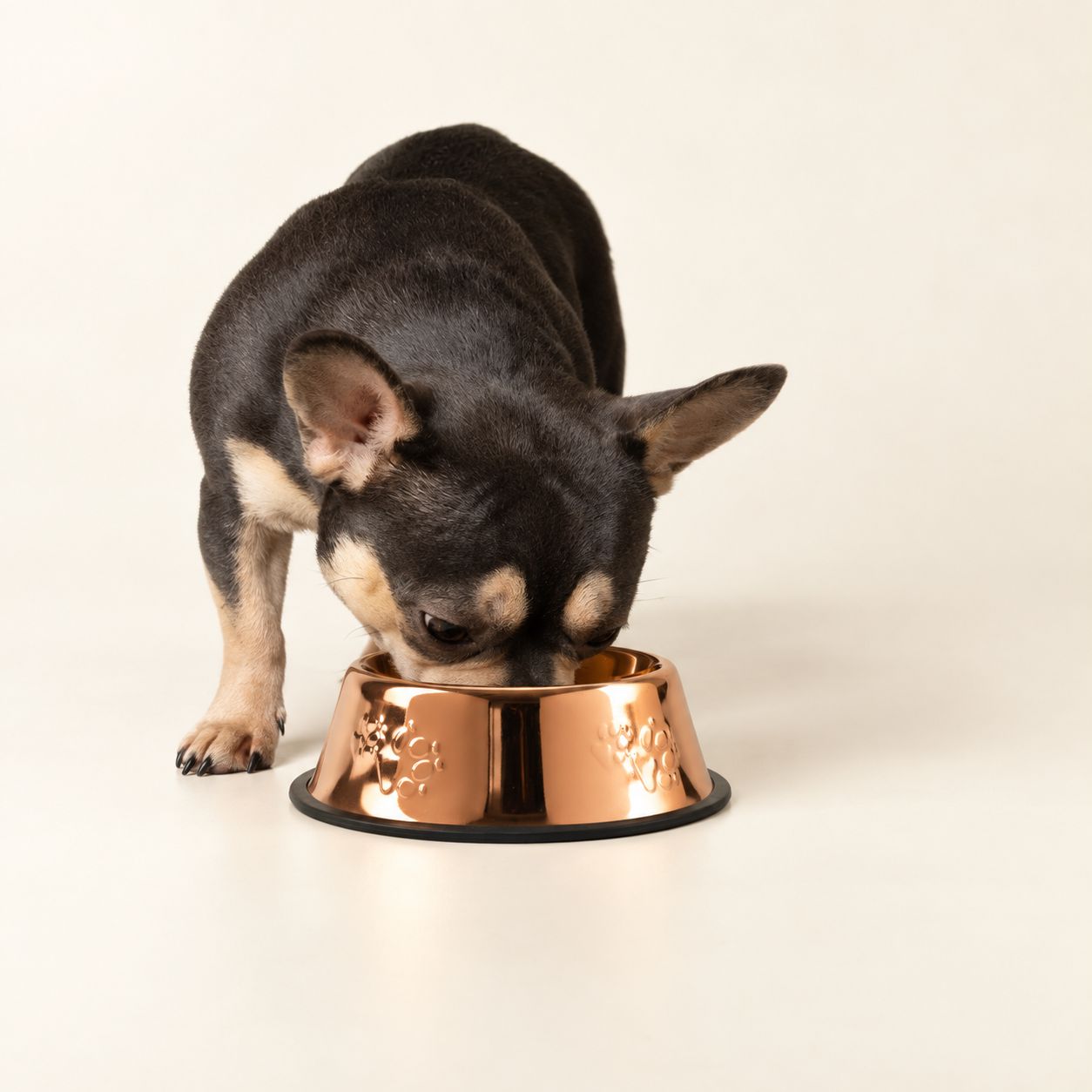 PAW Food Bowls - Single Copper Style - 18cm - Stainless Steel (304) - Image 5