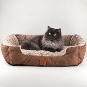 Pet Beds & Cosy Pet Tents