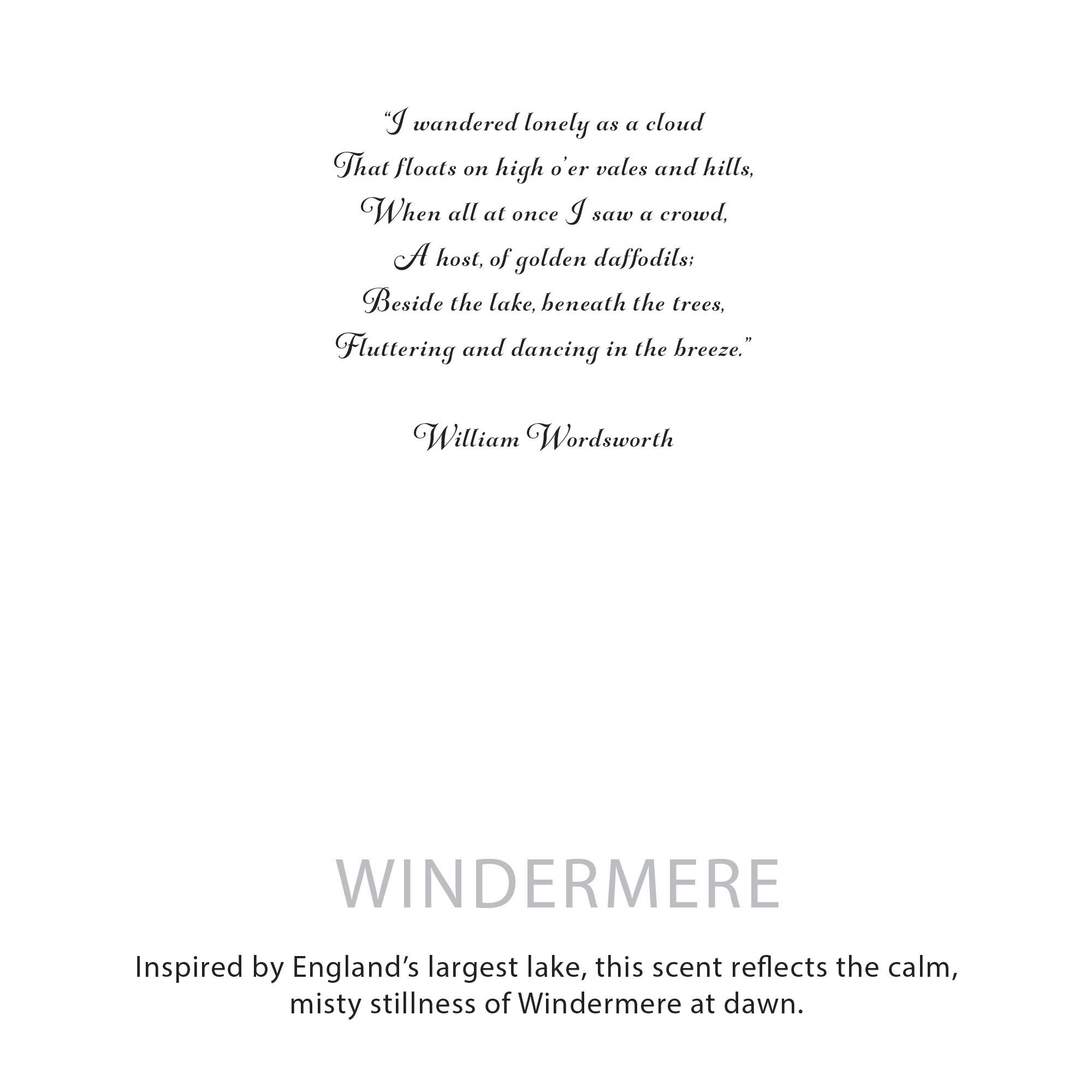 Agnes + Cat Botanical Soy Wax Candle - Windermere - Image 6