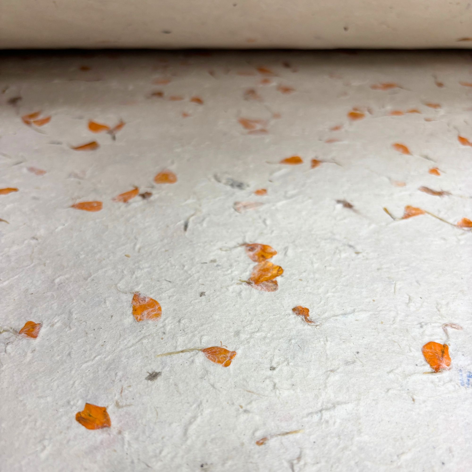 Lokta Craft & Wrapping Paper 51x76cm - Marigold - Image 2