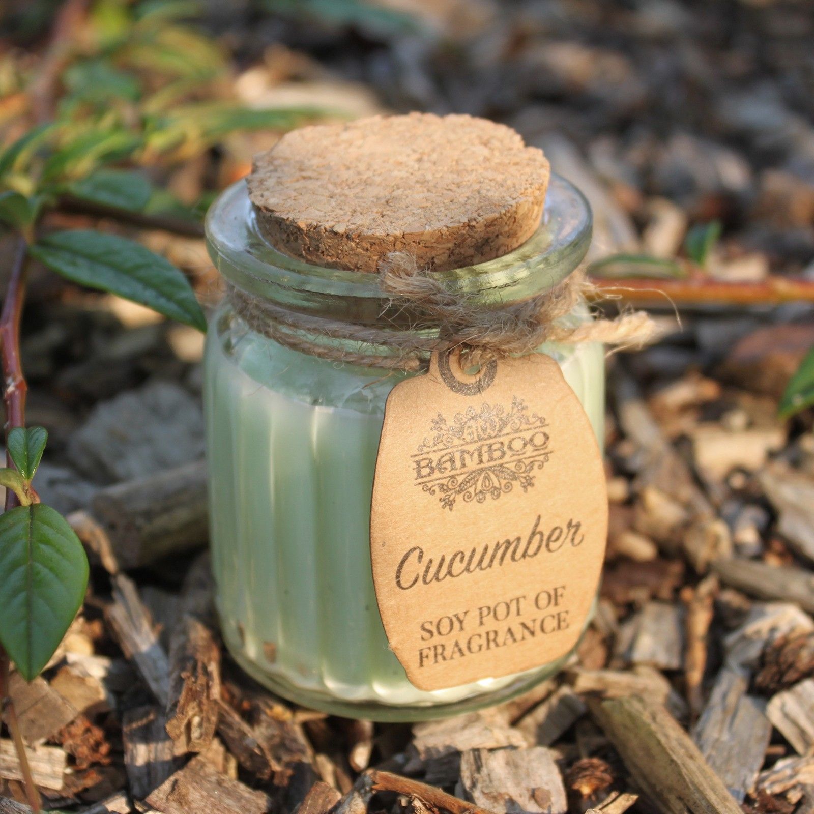 Cucumber Soy Pot of Fragrance Candles - Image 3