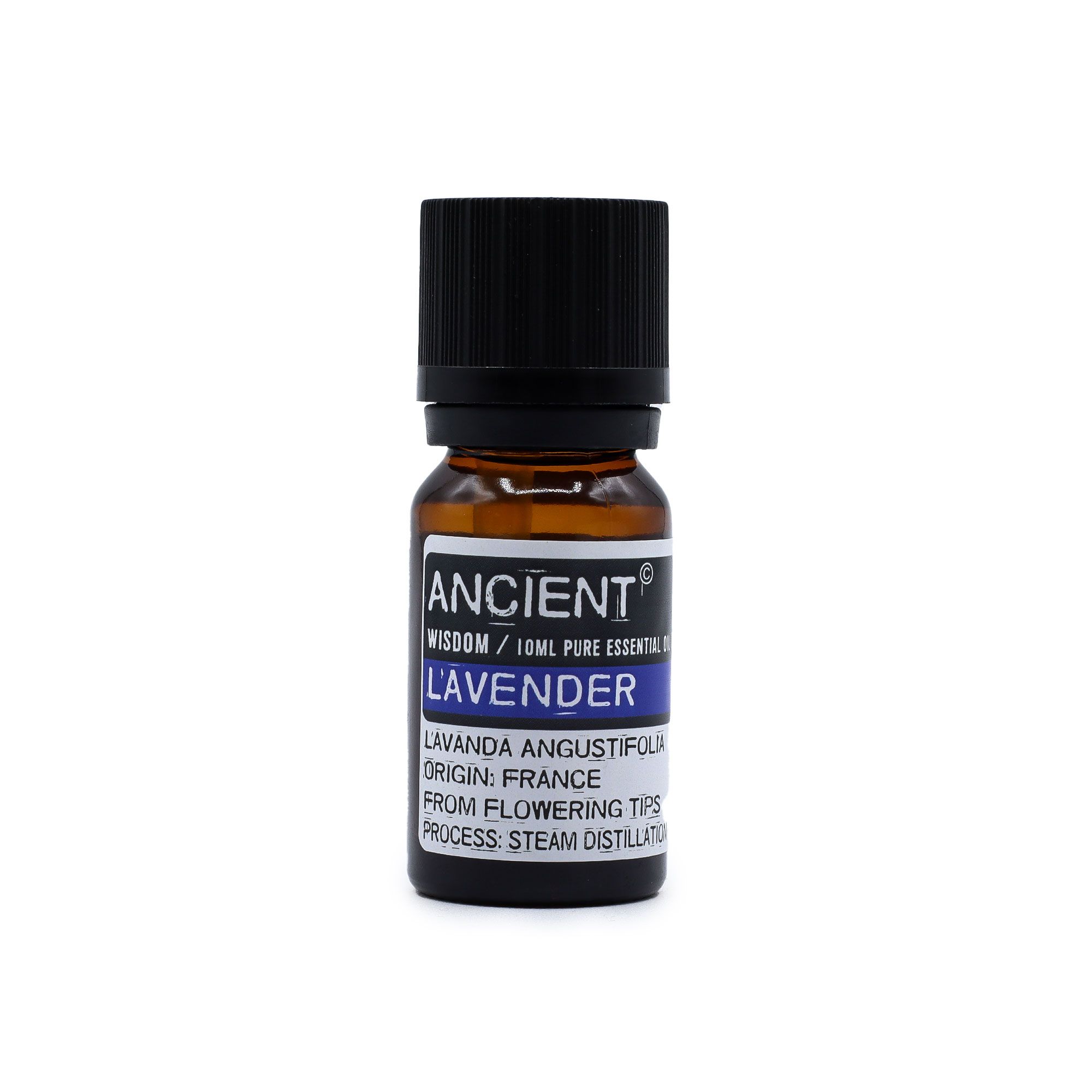 10 ml Lavender Essential Oil - Image 7