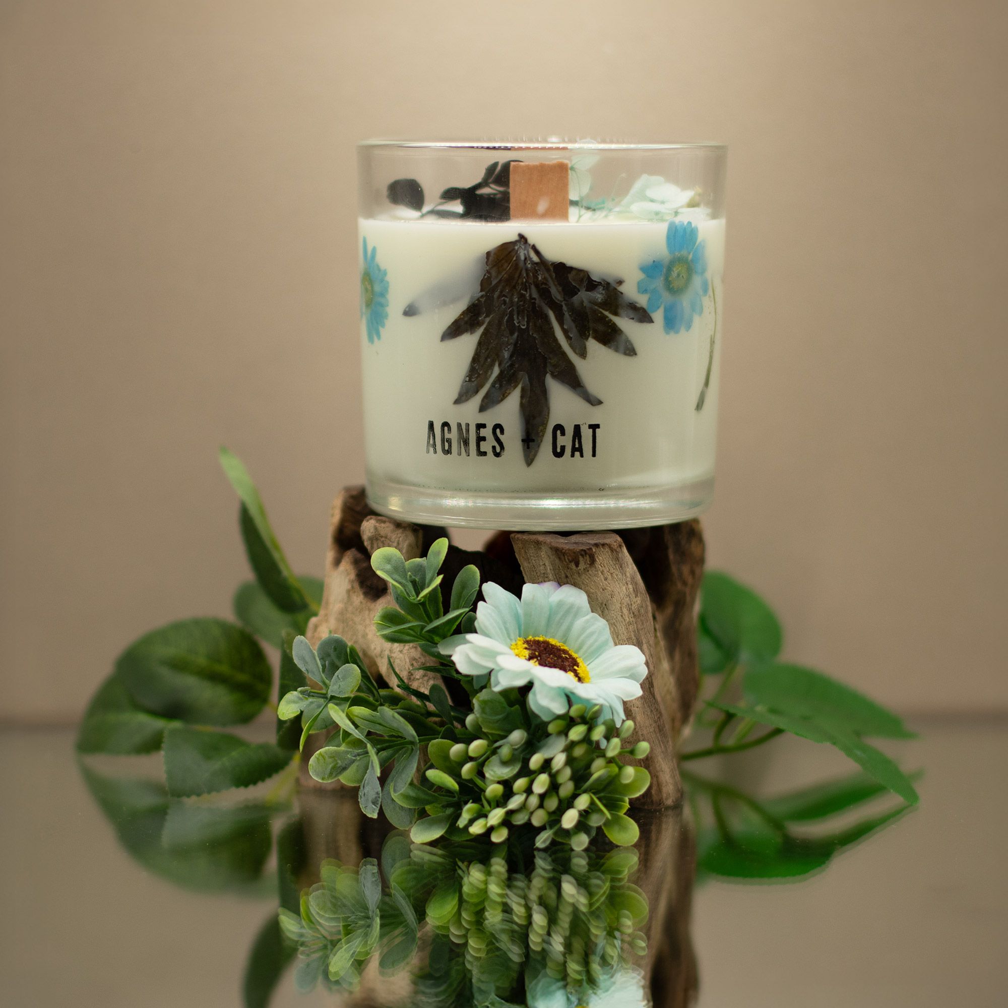 Agnes + Cat Botanical Soy Wax Candle - Seasalt & Moss - Image 6