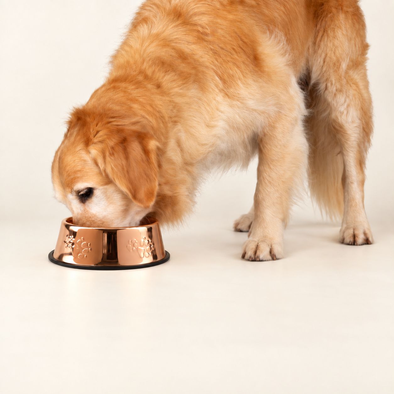 PAW Food Bowls - Single Copper Style - 22cm - Stainless Steel (304) - Image 3