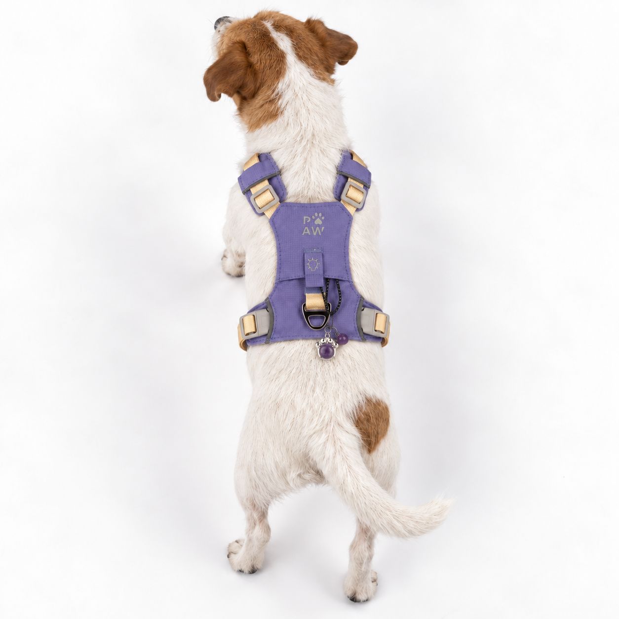 PAW - S (4-8Kg) Dog Step-in Guardian Harness with Reflective Mesh - Lavender - Amethyst Charm - Image 11