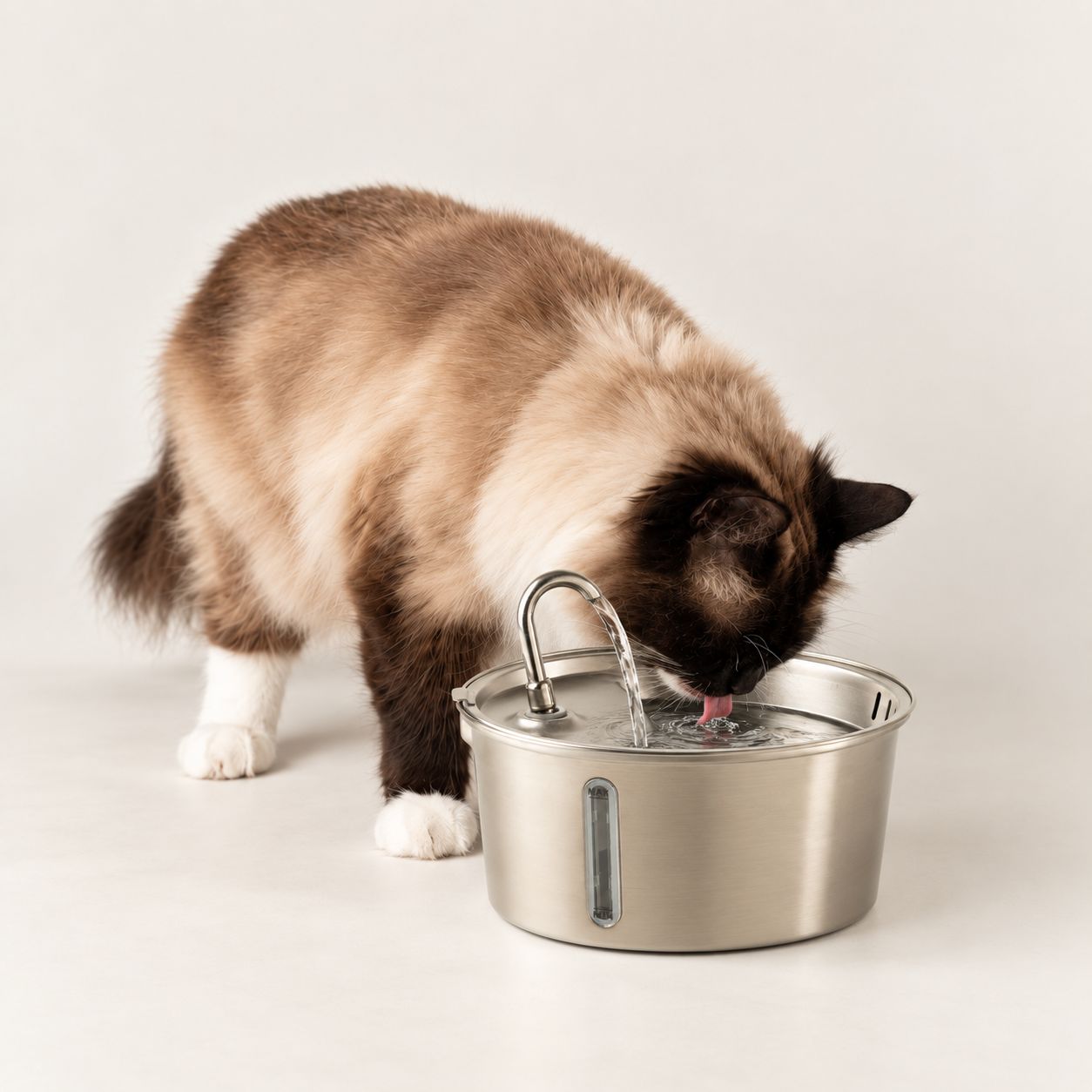 PAW Food Bowls - Electric Water Fountain 2.5 Liter - USB - Stainless Steal (304) - Image 12
