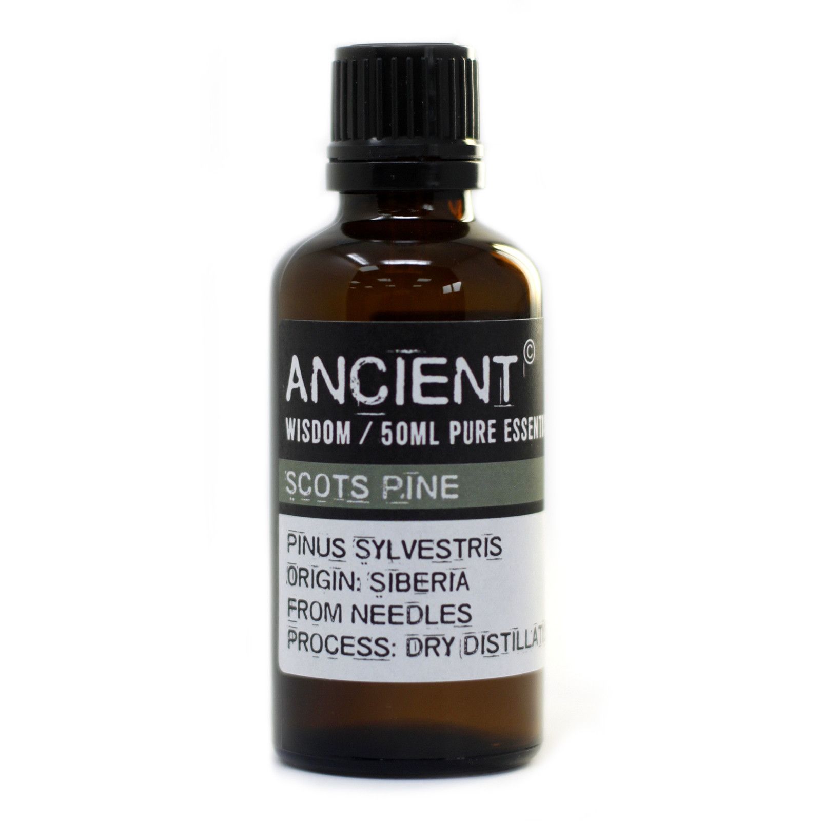 Pine Sylvestris (Scots Pine) 50ml - Image 3