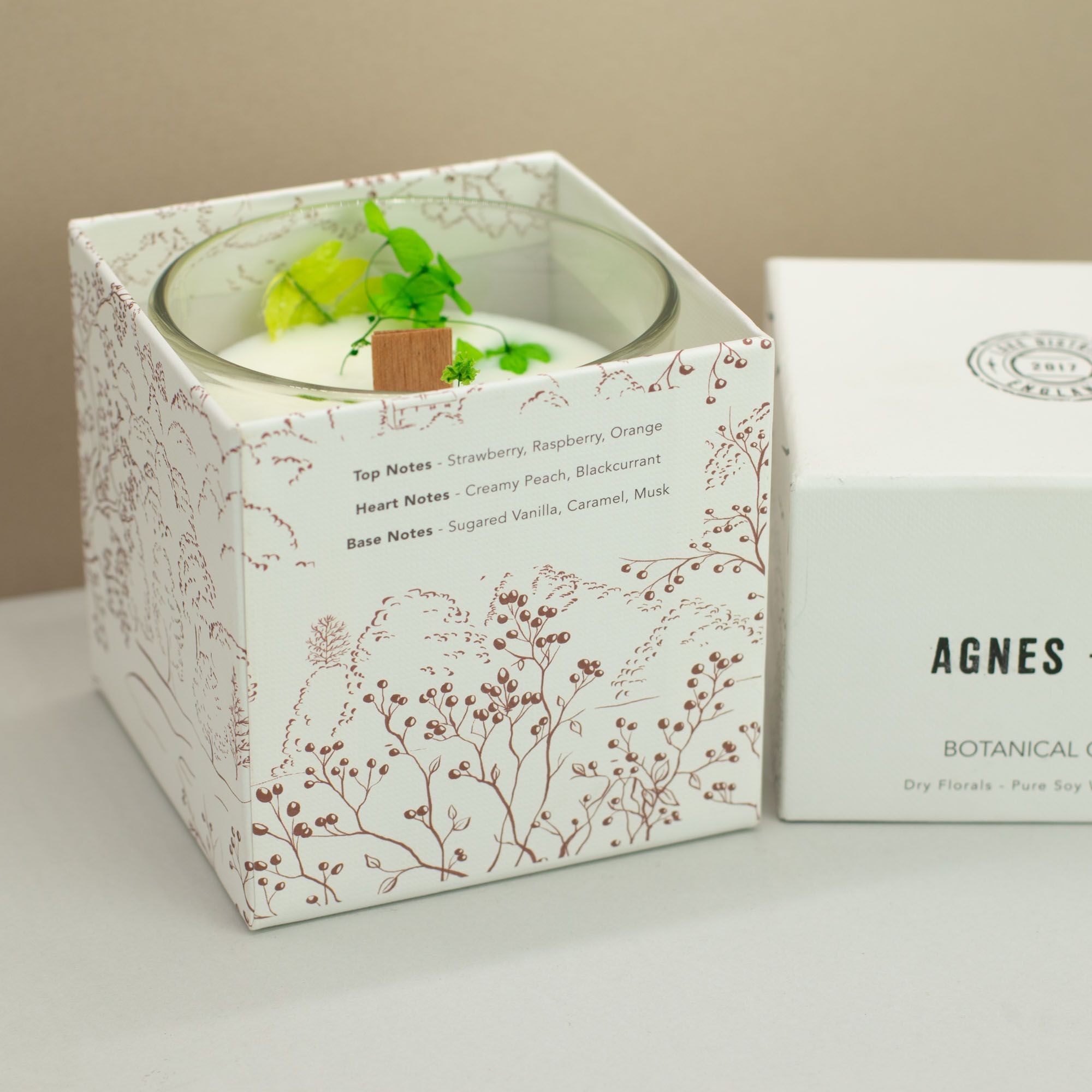 Agnes + Cat Botanical Soy Wax Candle - Fellberry - Image 10