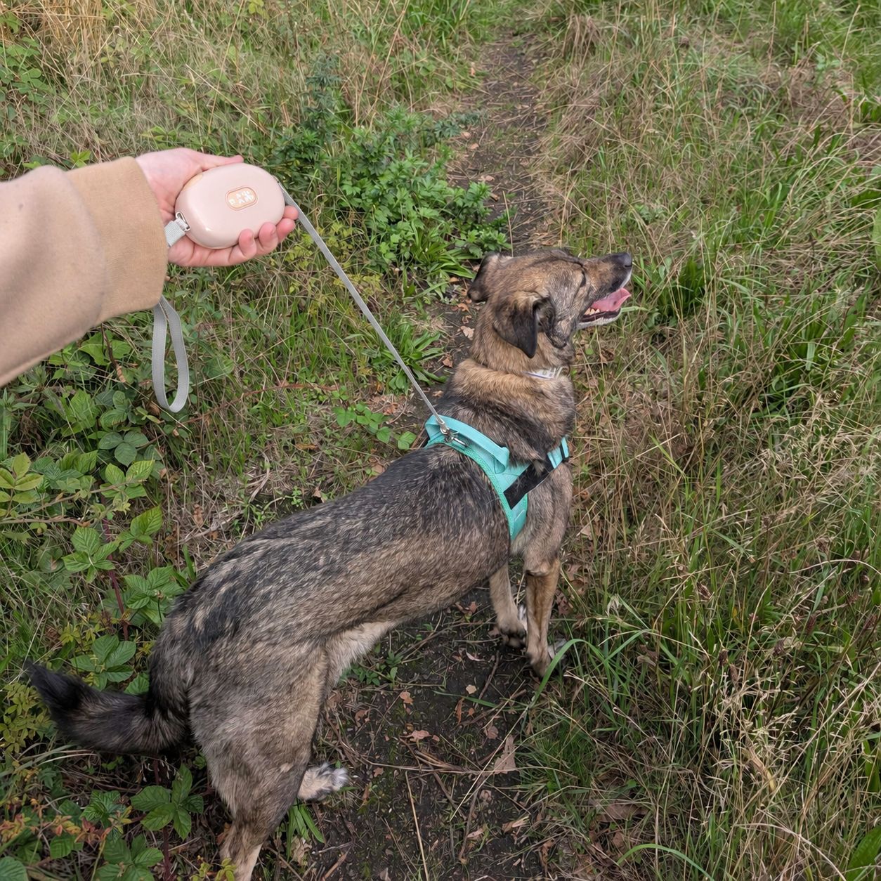Paw Pet Leash - Pocket Pod - Pink - 1.5m - Image 4