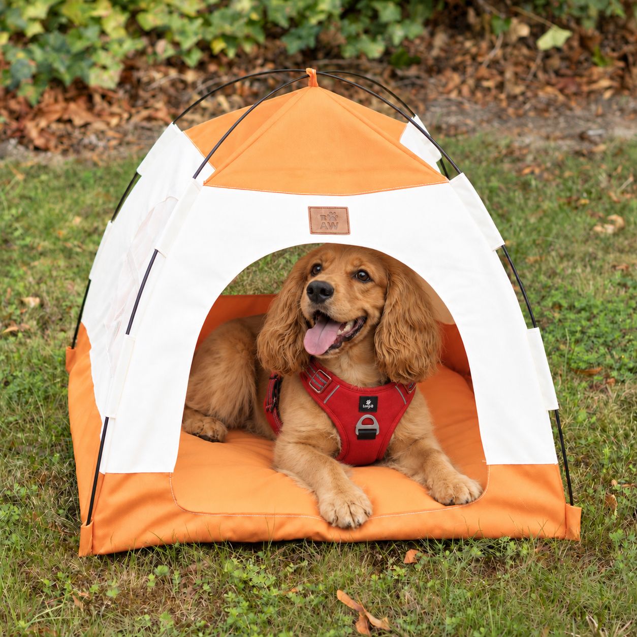 PAW Bed – Beige & Orange Tent – 58 × 58 × 48cm - Image 9