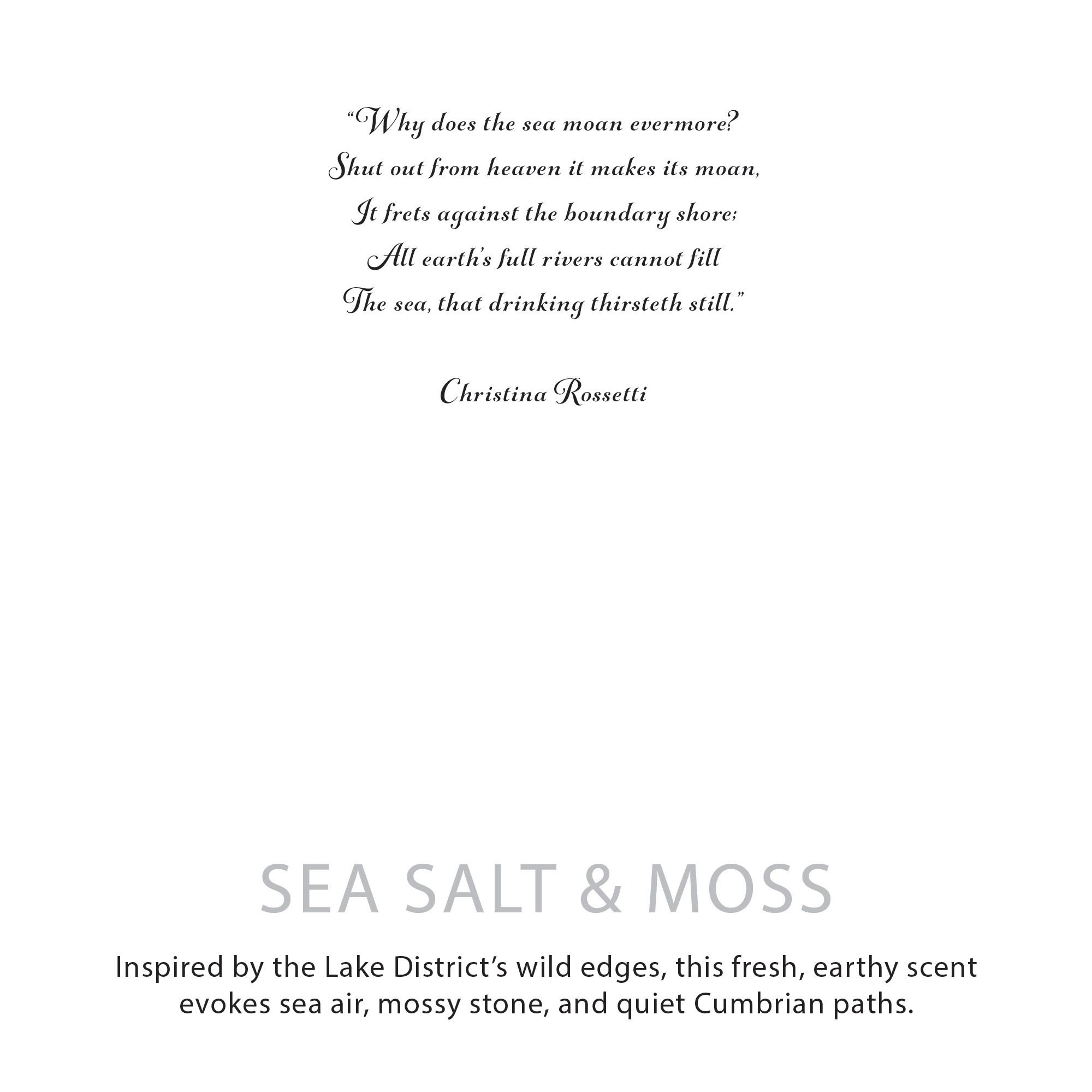 Agnes + Cat Botanical Soy Wax Candle - Seasalt & Moss - Image 9