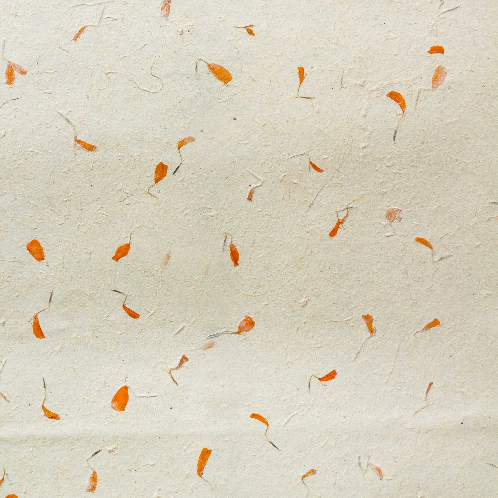 Lokta Craft & Wrapping Paper 51x76cm - Marigold - Image 4