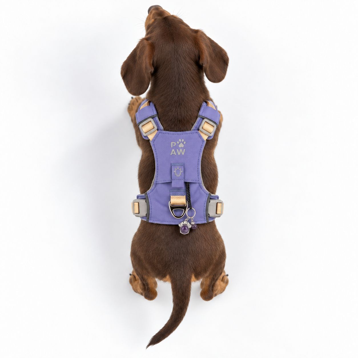PAW - XS (2-4Kg) Dog Step-in Guardian Harness with Reflective Mesh - Lavender - Amethyst Charm - Image 11