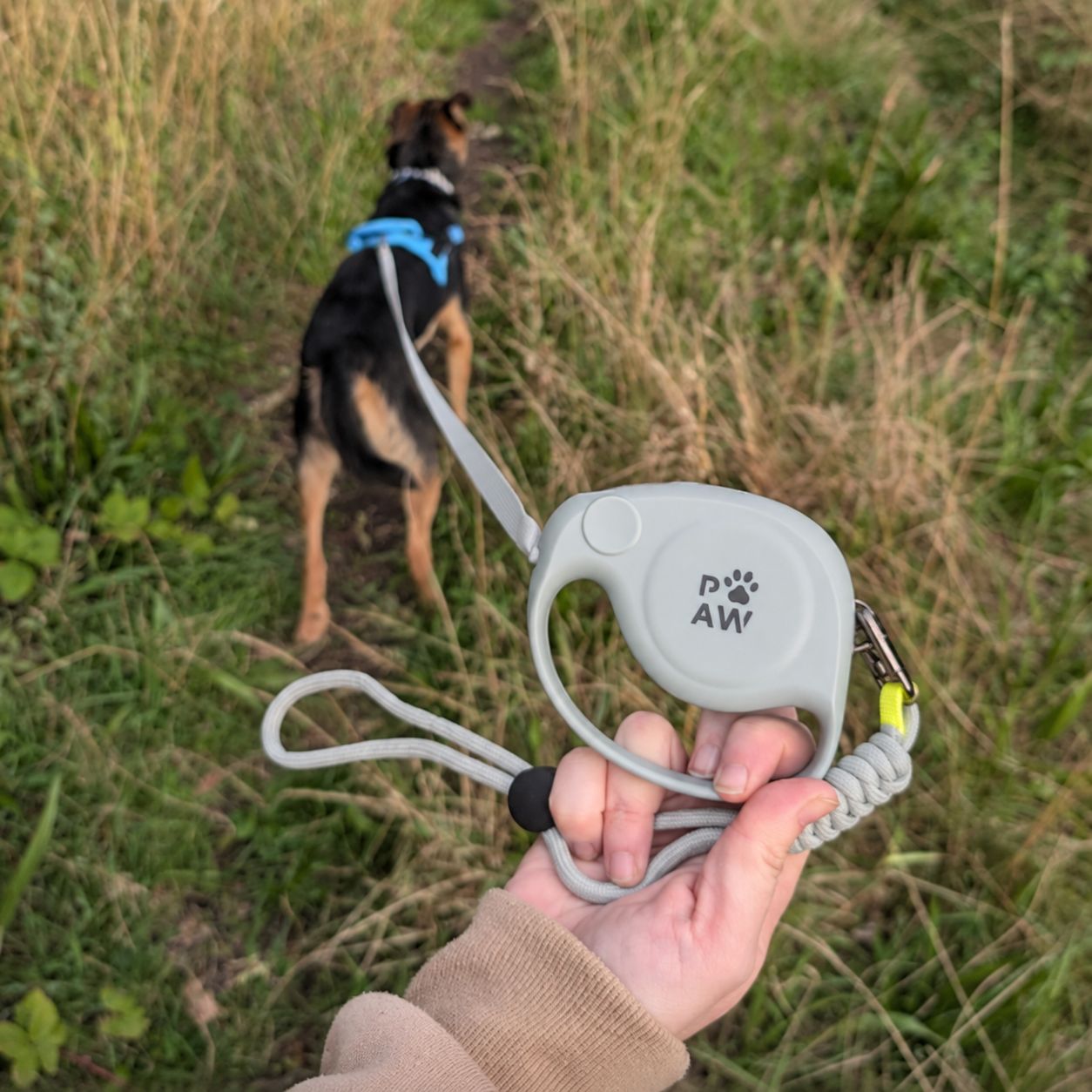 Paw Pet Leash - Elephant Strap - Grey - 2m - Image 9