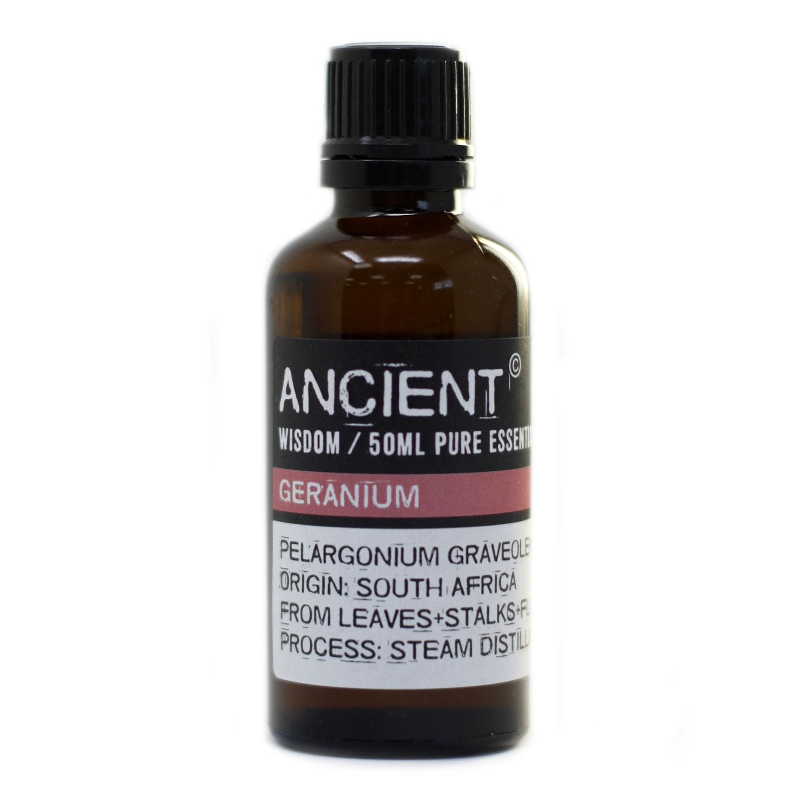 Geranium (Egypt) 50ml - Image 3