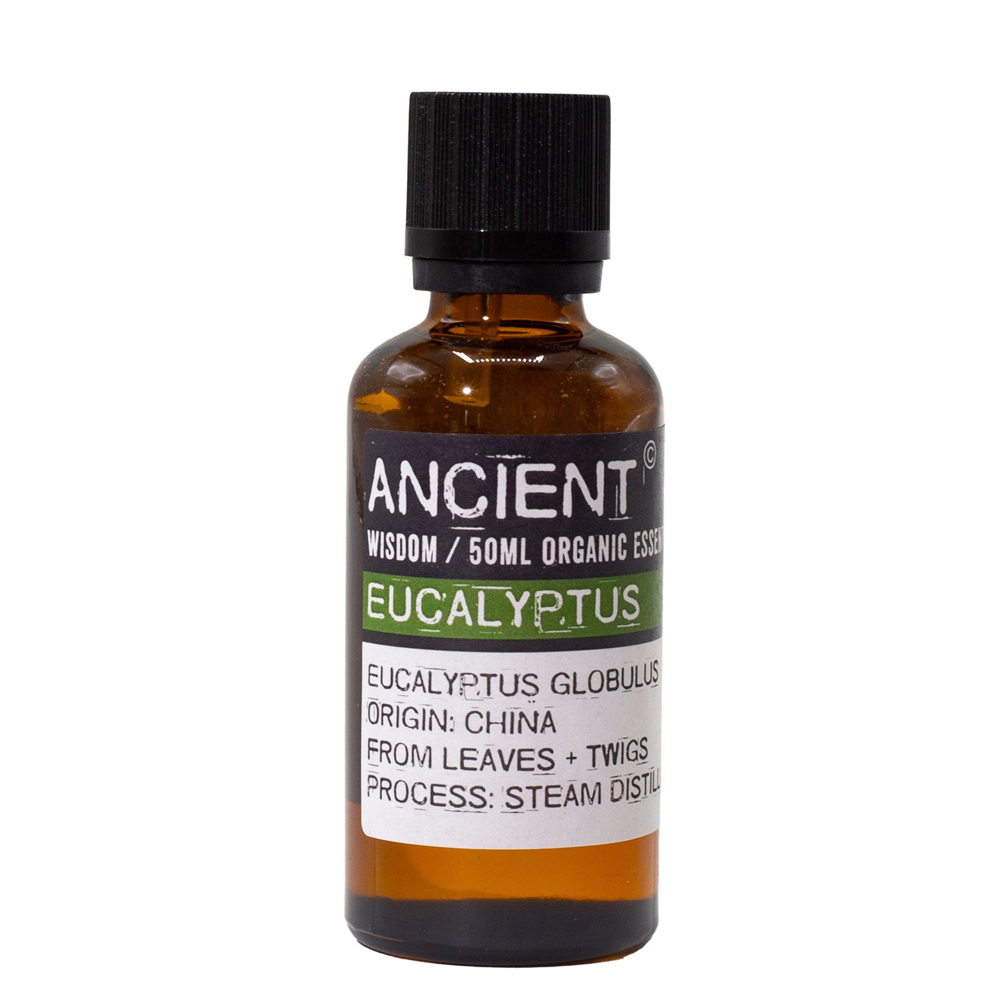 Eucalyptus Organic Essential Oil 50ml - Image 3