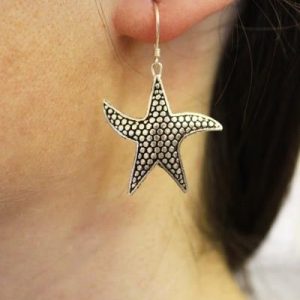 925 Silver Animal Earrings
