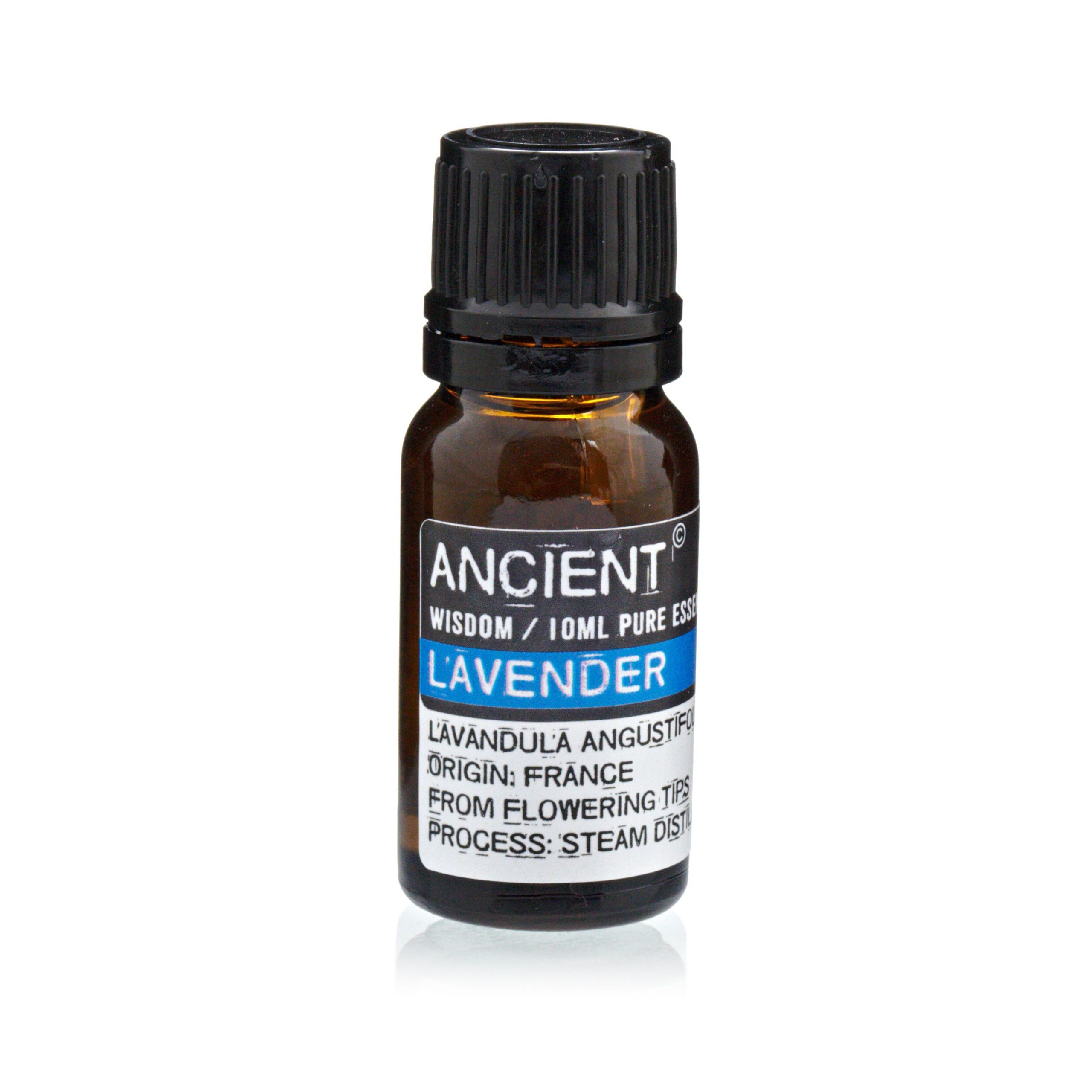 Set of Lavender, Tea Tree & Rosemary Essential Oils - 10ml Each - Image 2