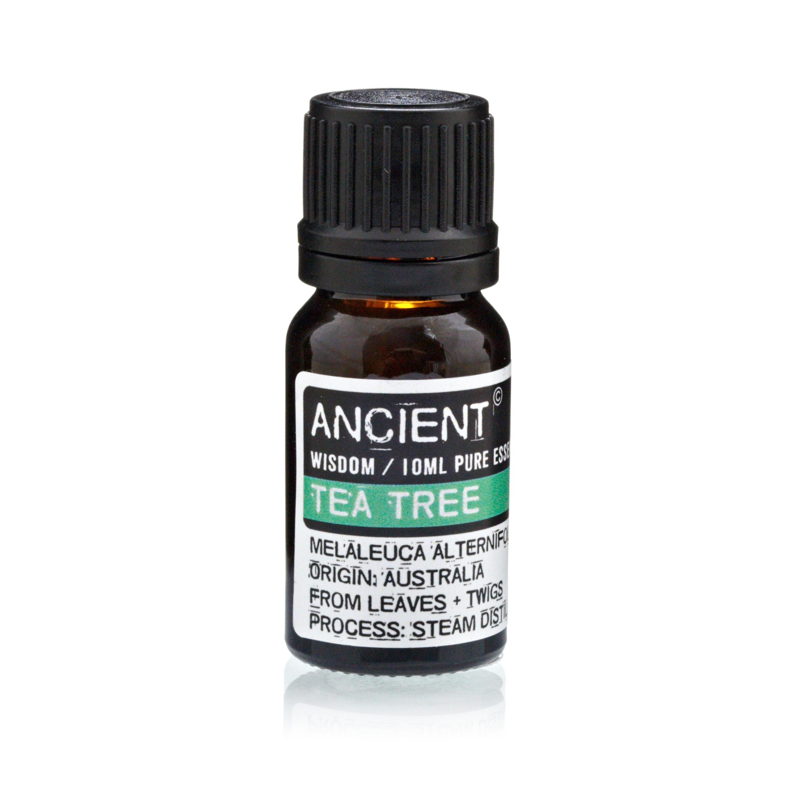 Set of Lavender, Tea Tree & Rosemary Essential Oils - 10ml Each - Image 3