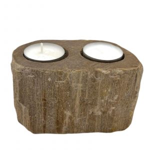 Petrified Wood Candle Holder