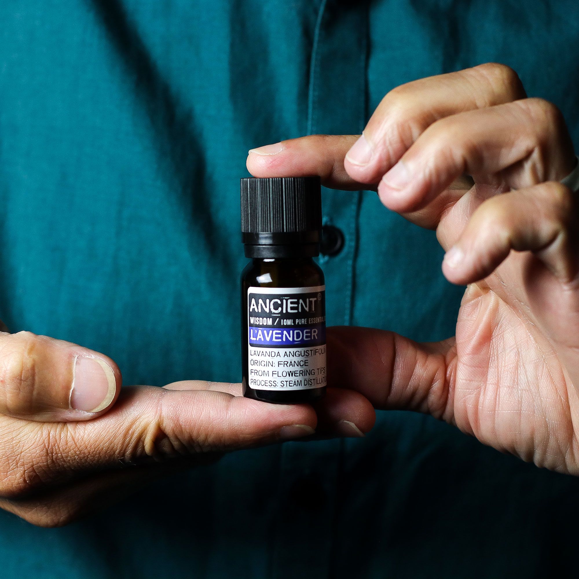 Set of Lavender, Tea Tree & Rosemary Essential Oils - 10ml Each - Image 6