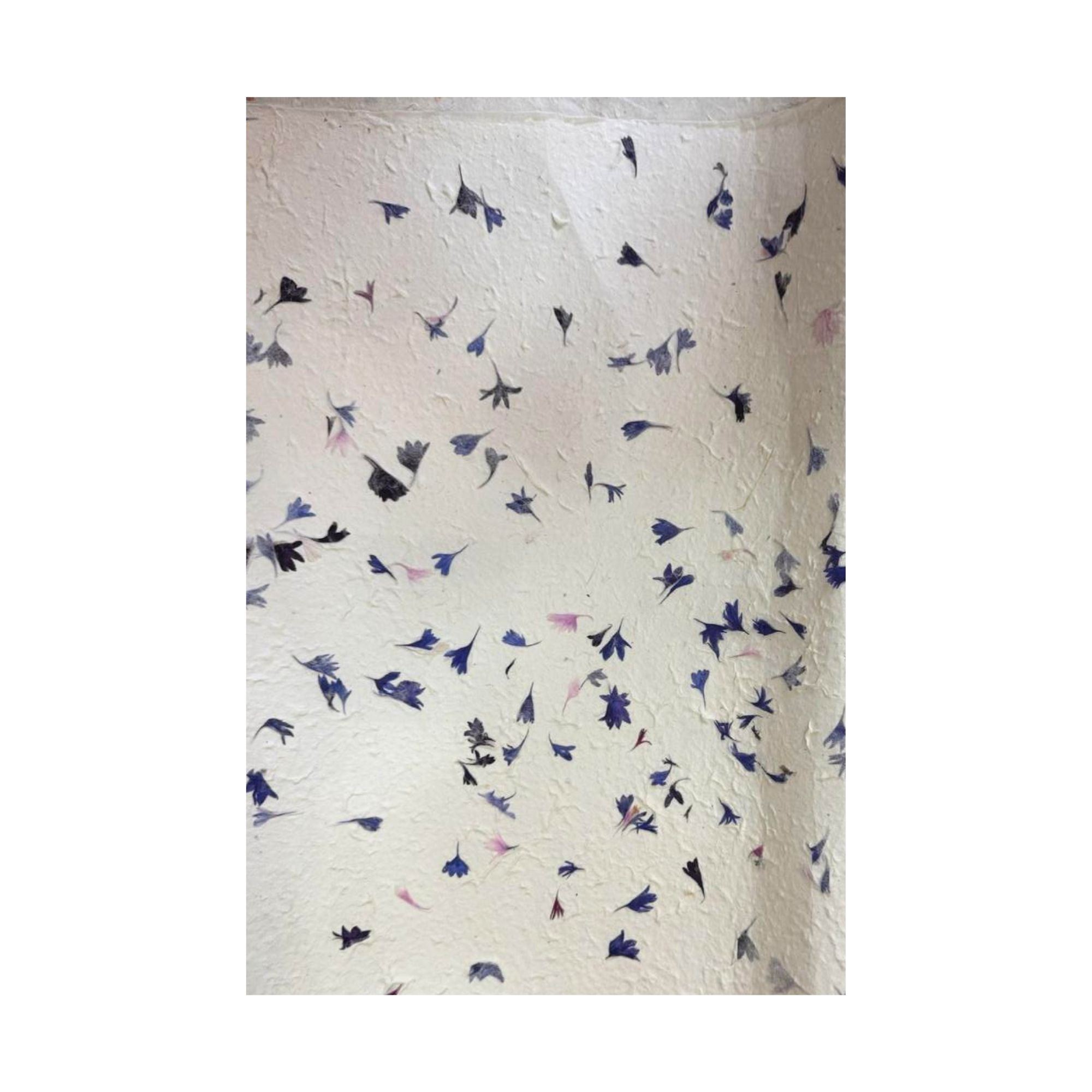 Lokta Craft & Wrapping Paper 51x76cm – Cornflower Petal - Image 2